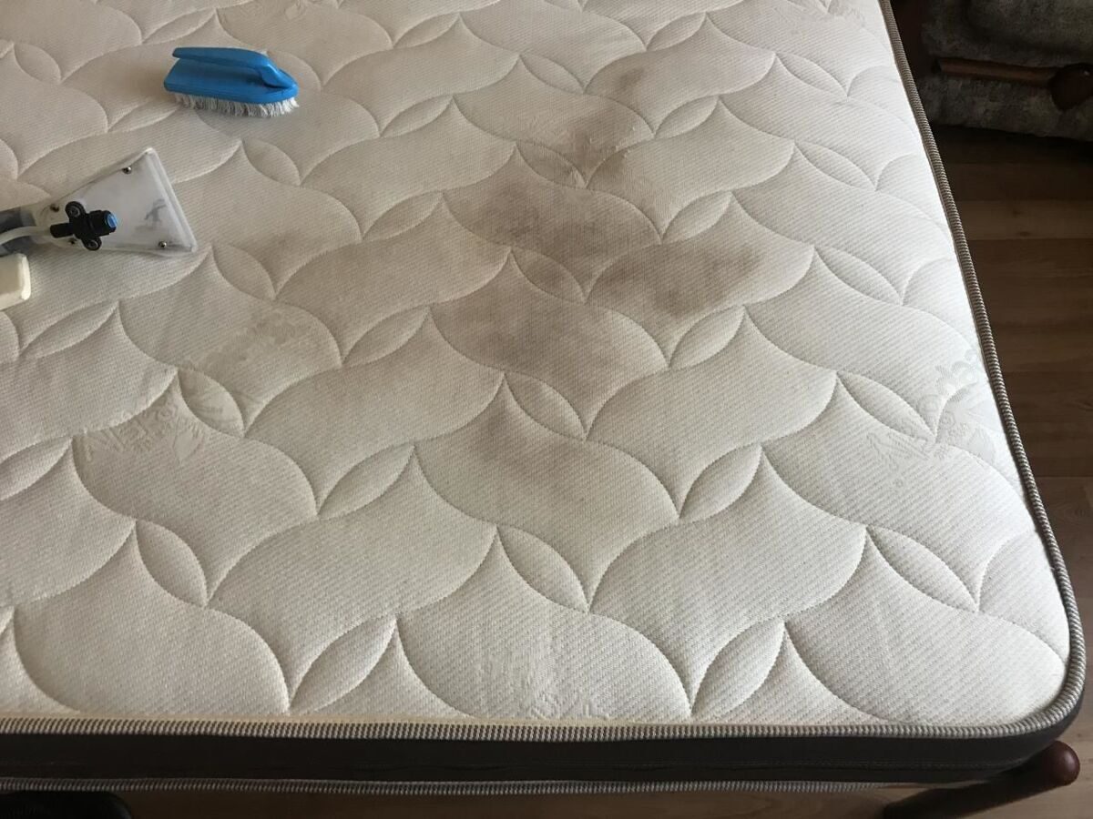 6degsvhzryfikjnahngevb